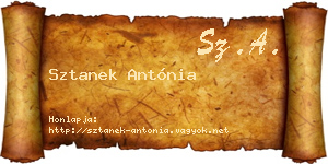 Sztanek Antónia névjegykártya